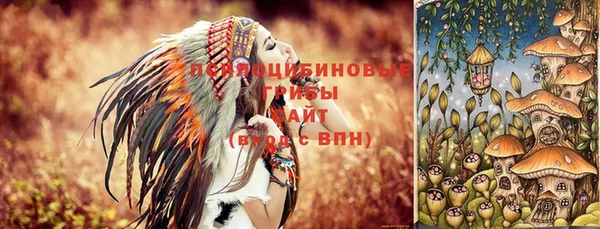 гашик Баксан