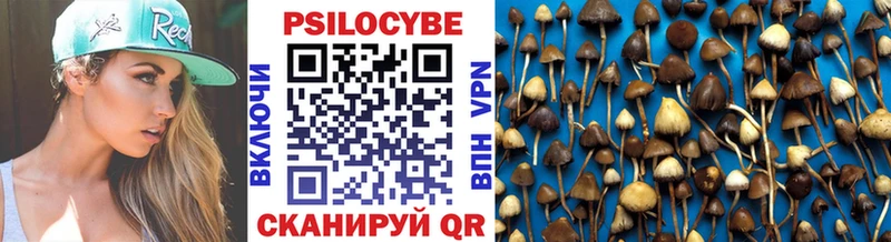 Псилоцибиновые грибы Psilocybe  это Telegram  Сосногорск 